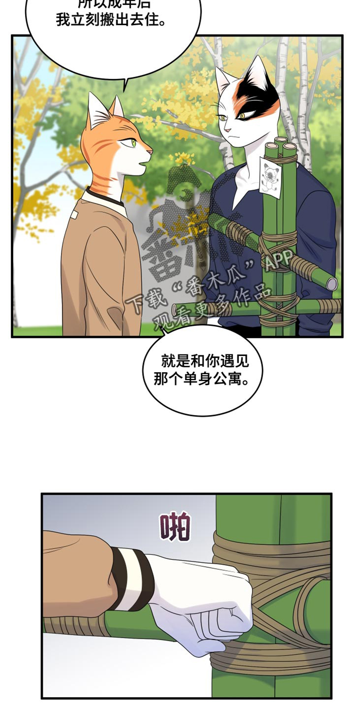 灵猫欧米伽完整版漫画,第98话1图