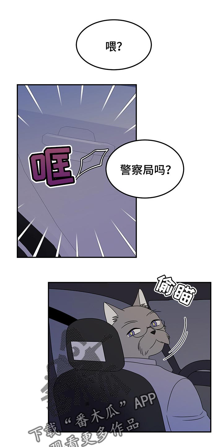 灵猫科和猫科的区别漫画,第35话1图