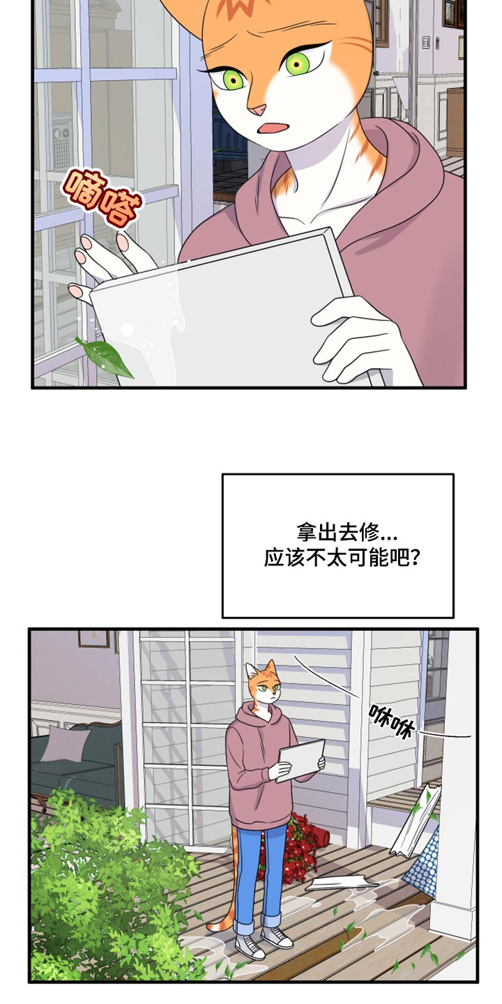 灵猫欧米伽漫画在哪看漫画,第89话2图