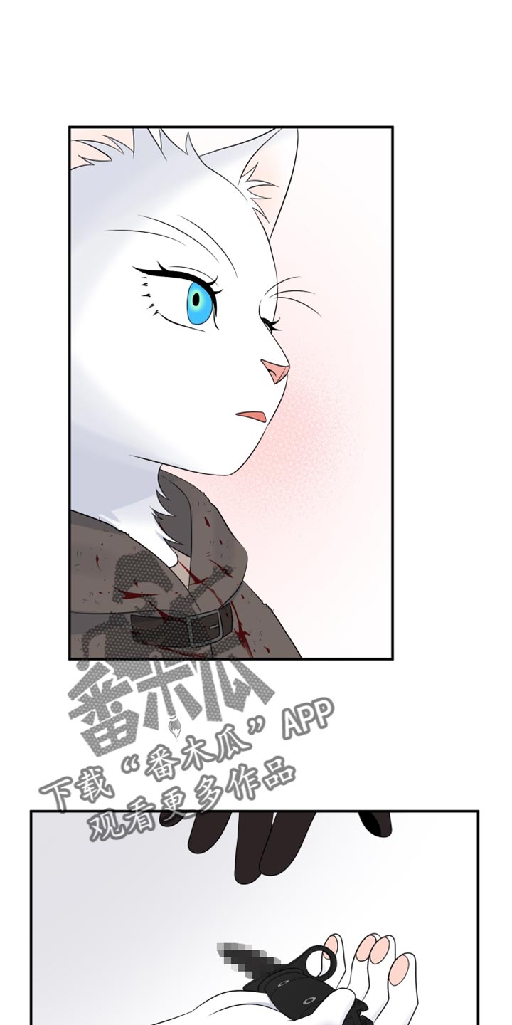 灵猫欧米伽漫蛙叫什么漫画,第142话1图