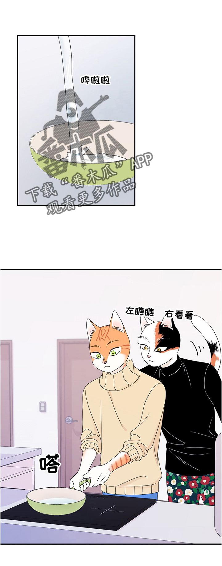 灵猫欧米伽双猫漫画,第10话2图