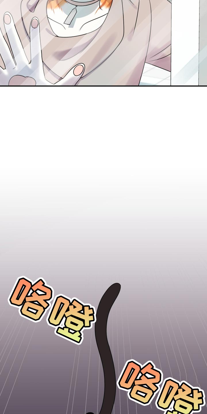 灵猫欧米伽漫画,第134话2图