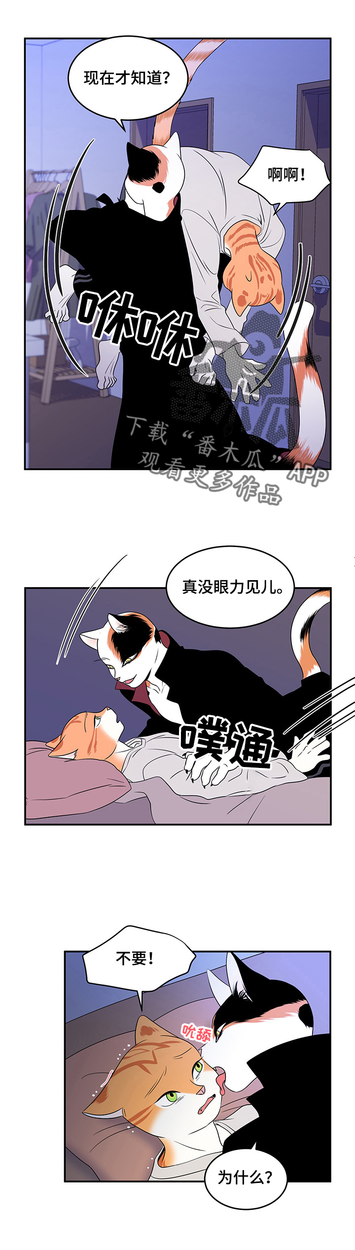 灵猫欧米伽免费版在哪里看漫画,第3话1图