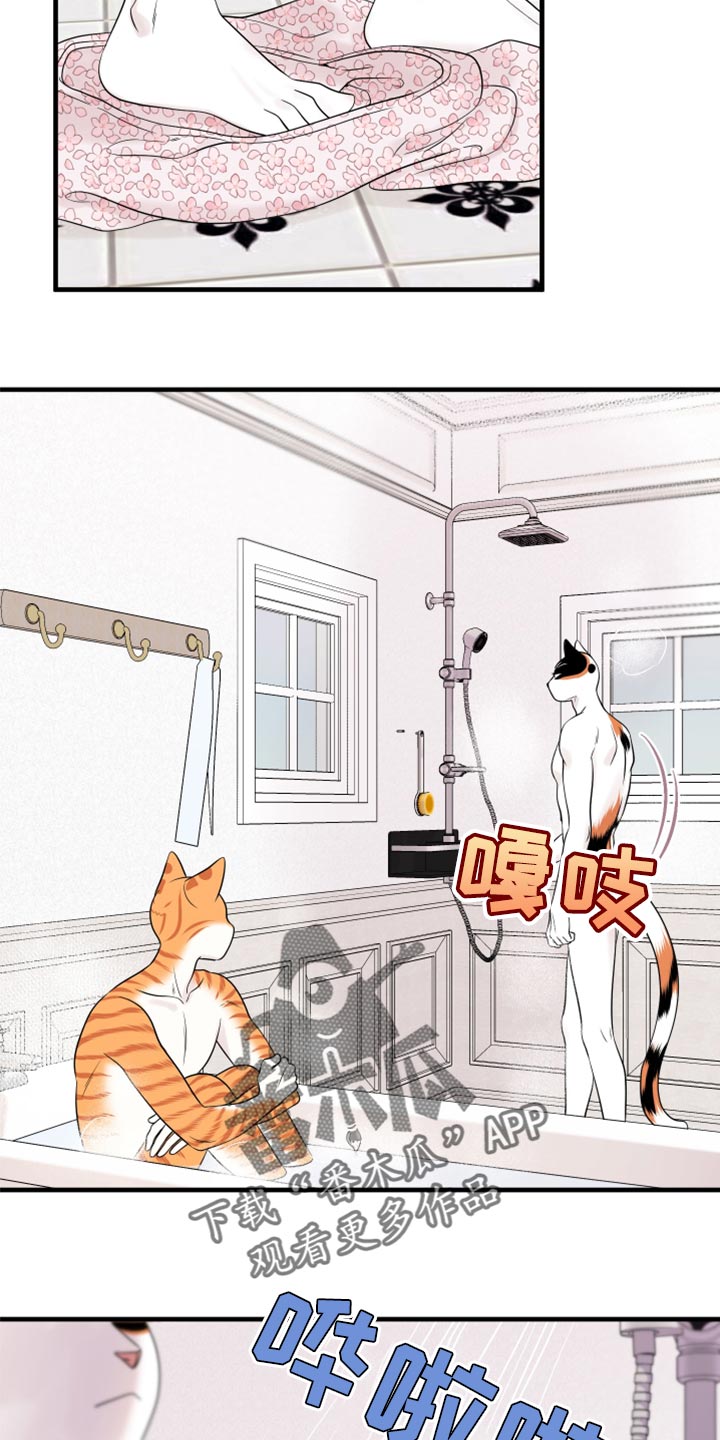 灵猫欧米伽什么时候更新第三季漫画,第69话1图