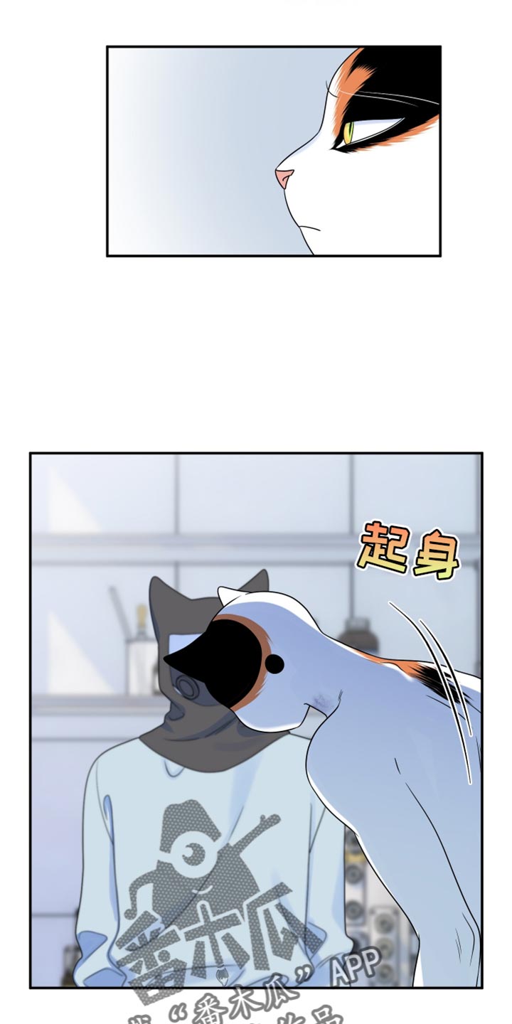 灵猫欧米伽漫画免费观看漫画,第165话1图