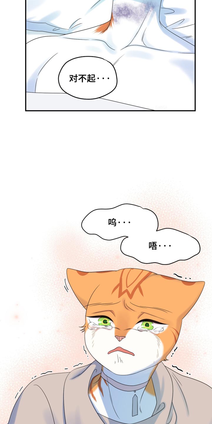 灵猫欧米伽免费漫画,第166话1图