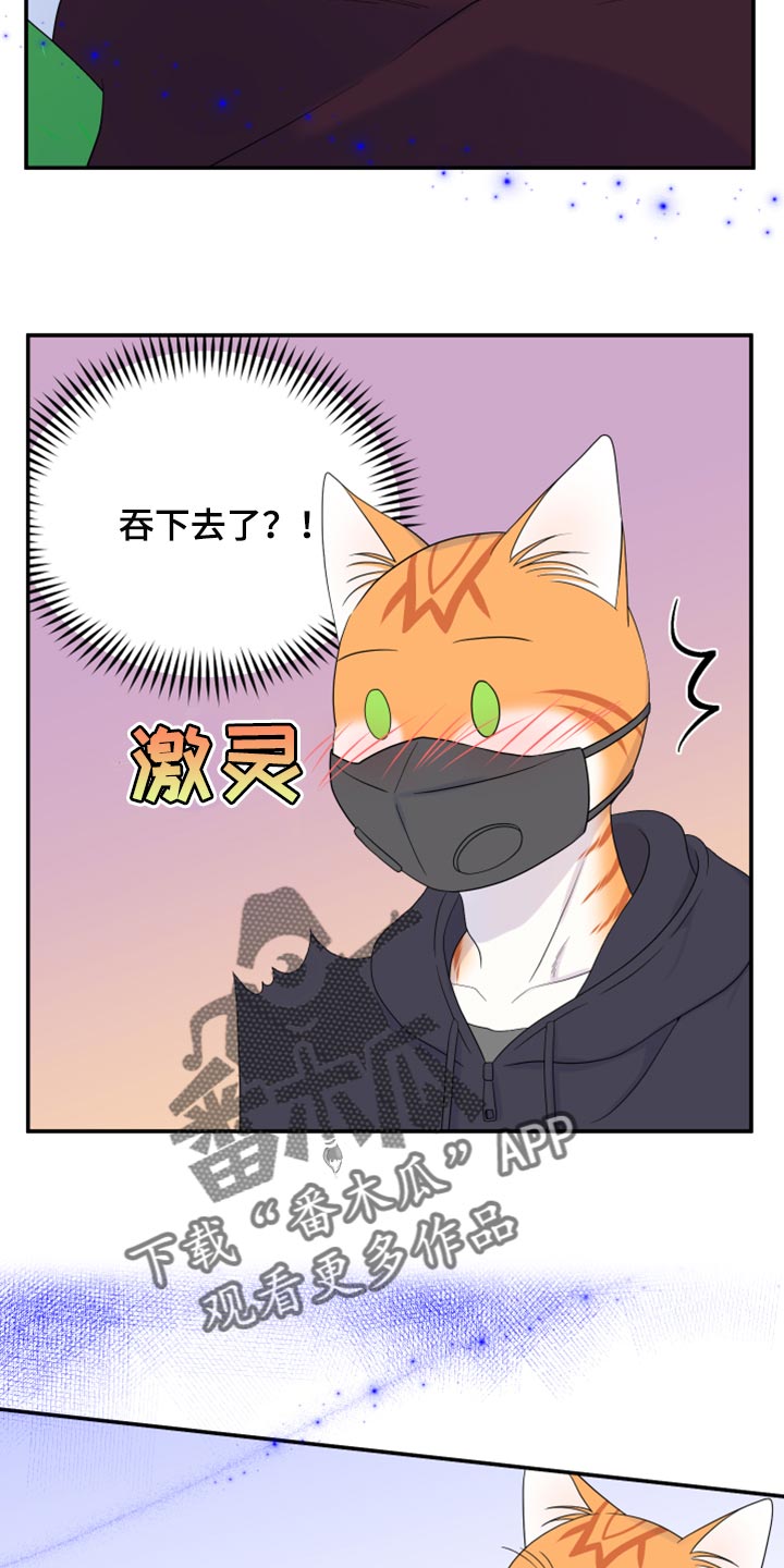 灵猫传攻略漫画,第63话1图