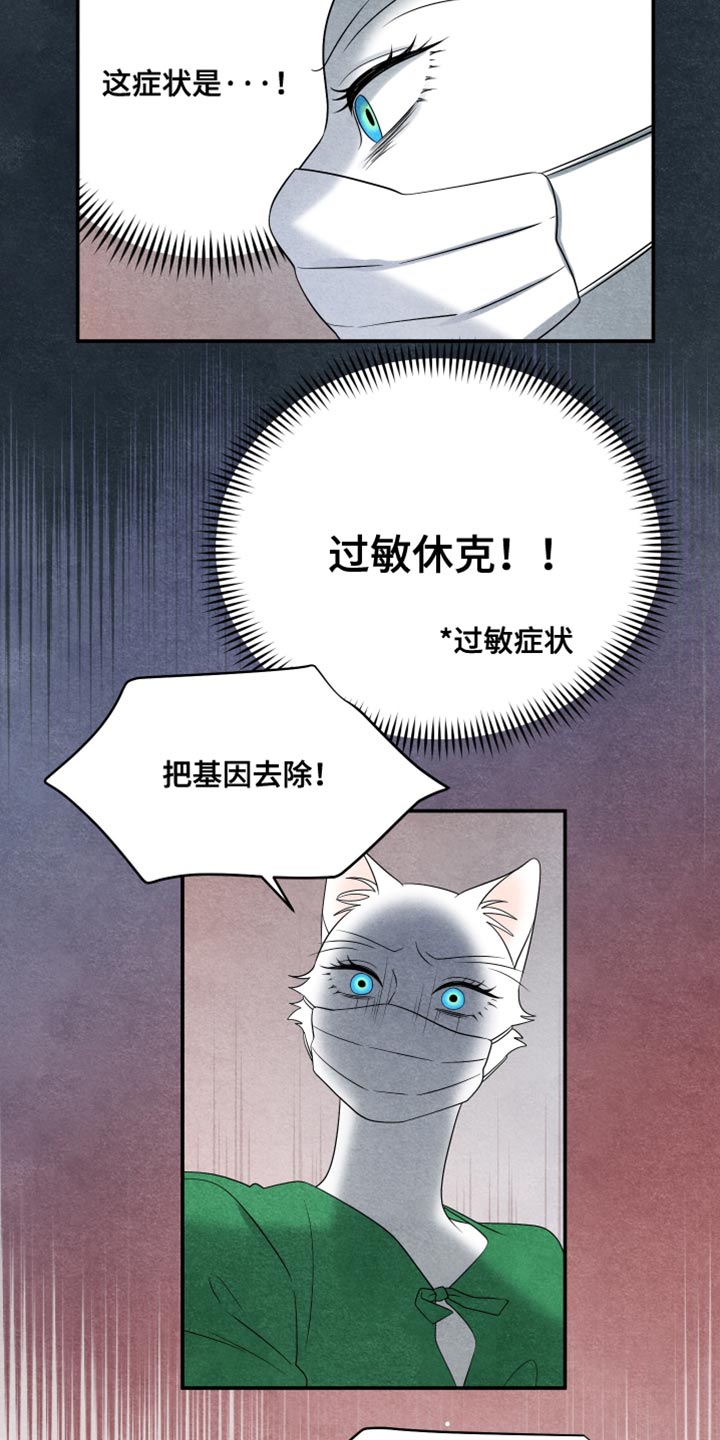 灵猫欧米伽漫画在线观看画涯漫画,第156话1图