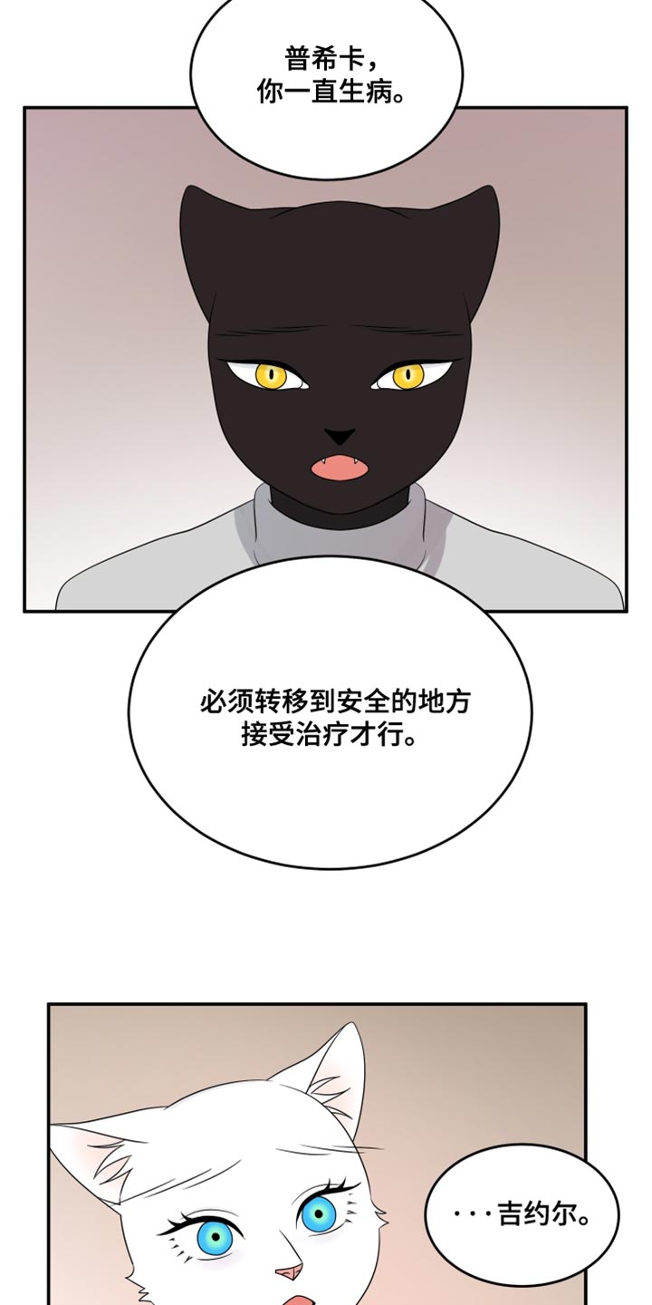 灵猫传陆知也漫画,第145话2图