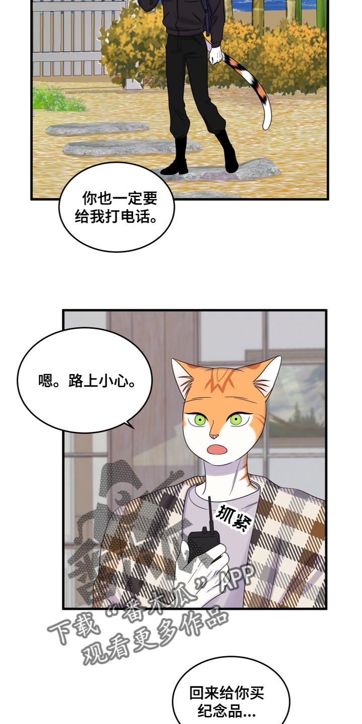 灵猫欧米伽漫蛙叫什么漫画,第108话2图