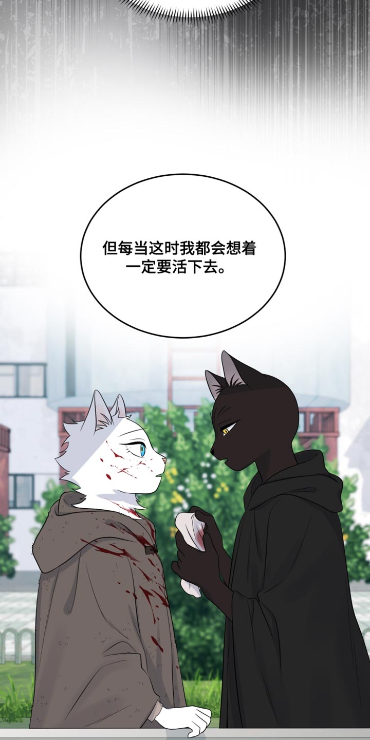 灵猫传陆知也漫画,第141话2图