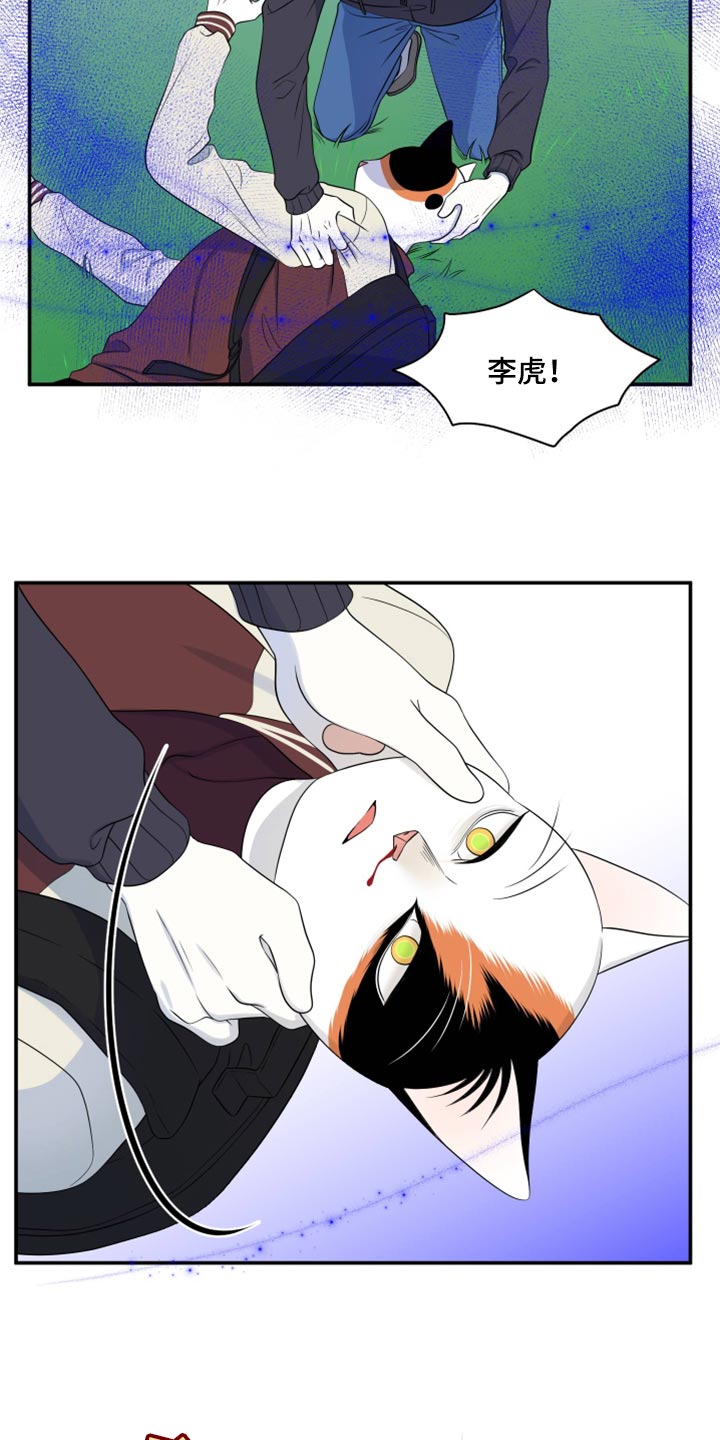 灵猫传汪苏泷漫画,第62话1图