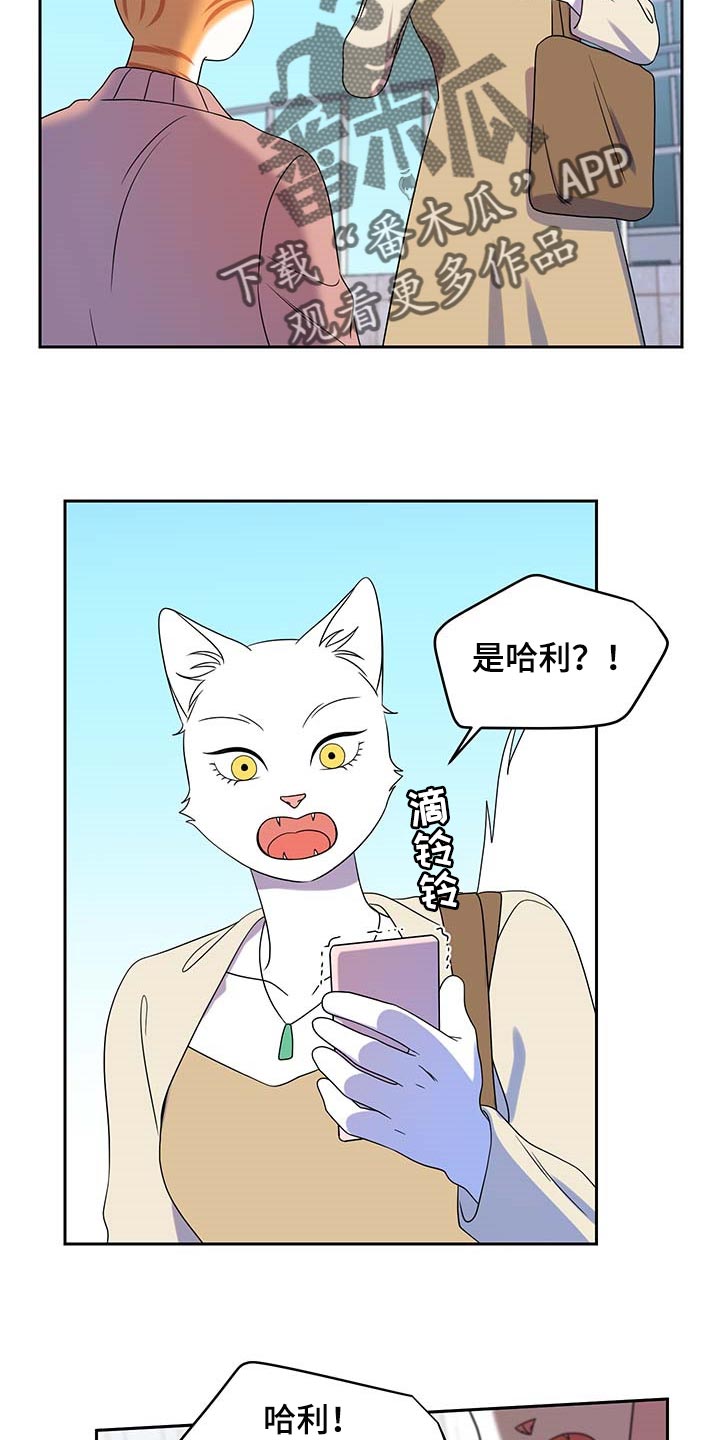 灵猫欧米伽第三季什么时候出漫画,第42话2图