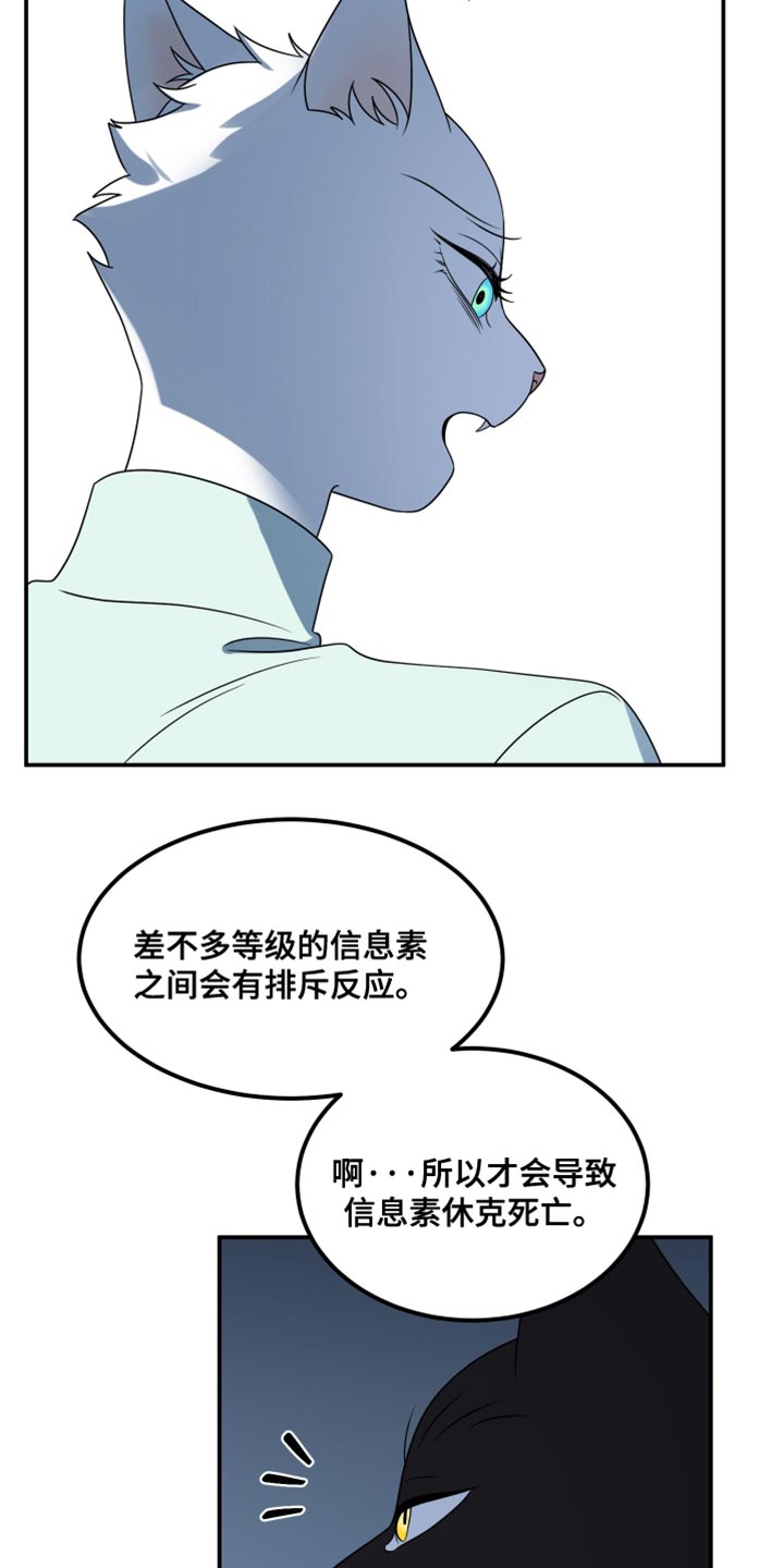 灵猫欧米迦漫画,第154话1图