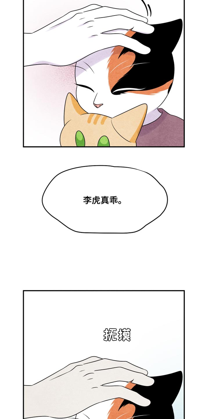 灵猫欧米伽完整版漫画,第158话2图