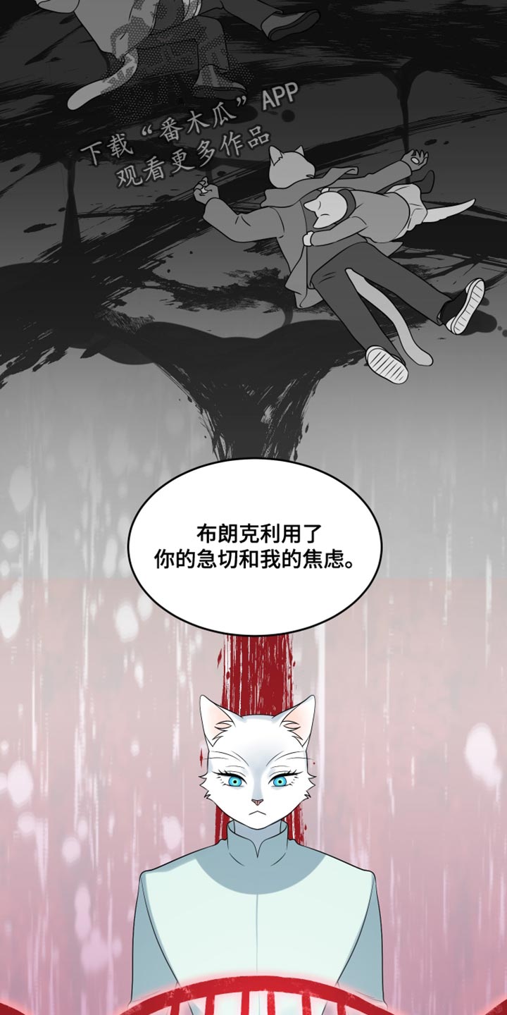 灵猫欧米伽漫画,第153话1图