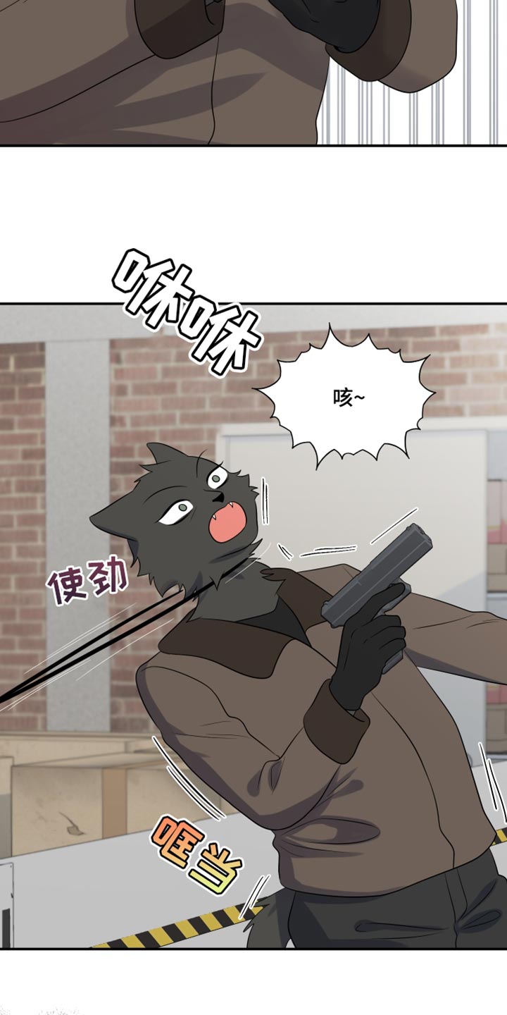 灵猫欧米伽漫画免费观看漫画,第143话1图