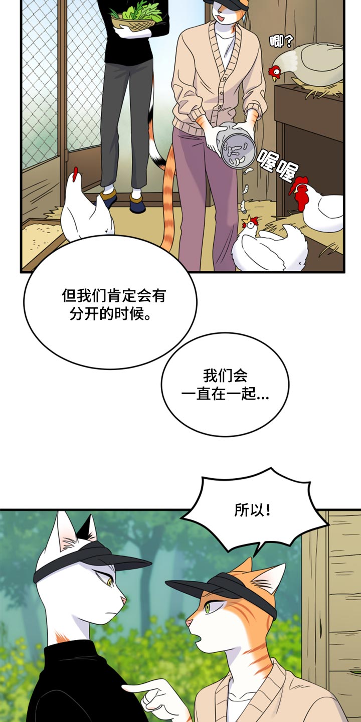 灵猫欧米伽完整版漫画,第87话2图