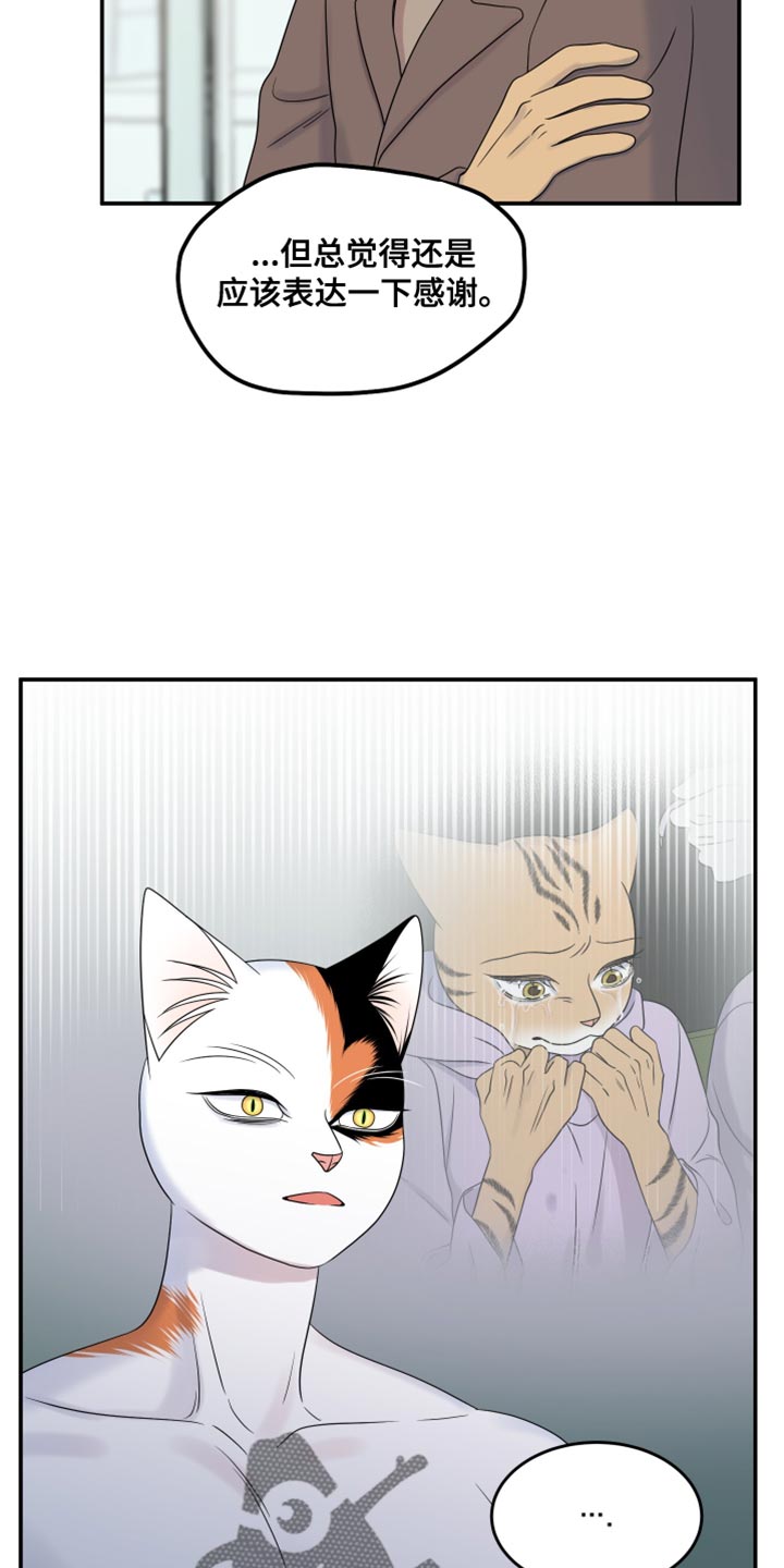 灵猫是什么动物漫画,第114话2图