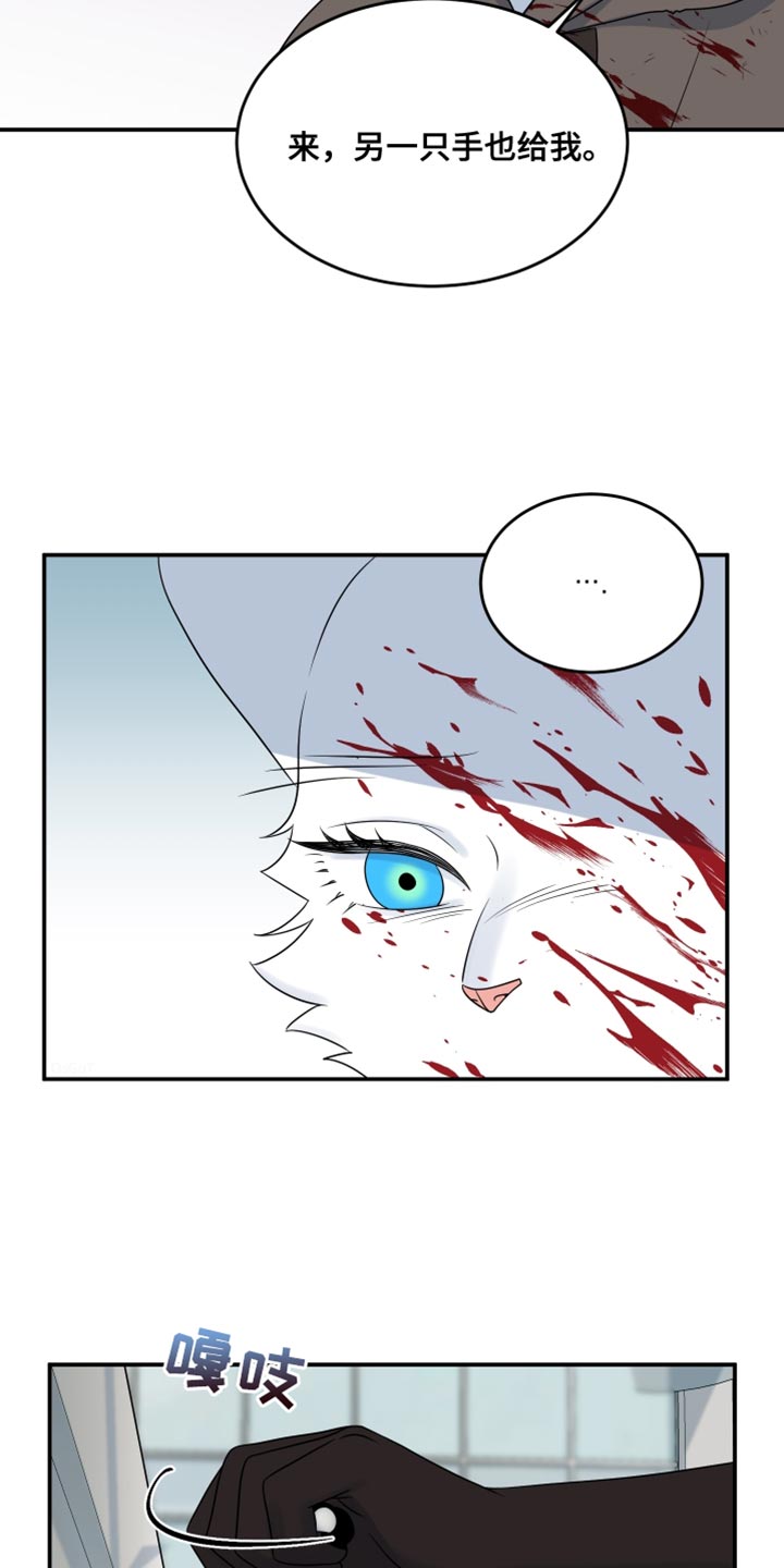 灵猫欧米伽合集漫画,第140话1图