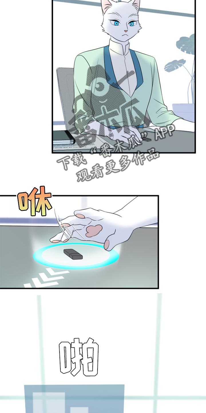 灵猫欧米伽漫画,第65话2图