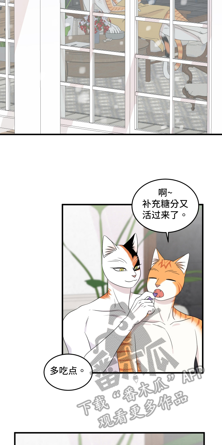 灵猫欧米伽漫画全集免费观看漫画,第105话2图