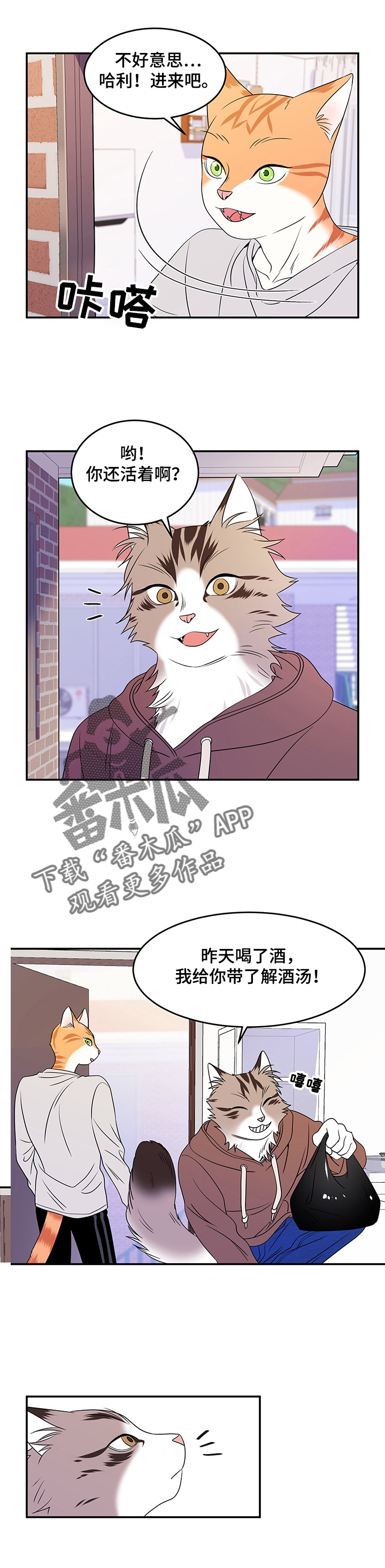 灵猫欧米伽最新话漫画,第4话2图