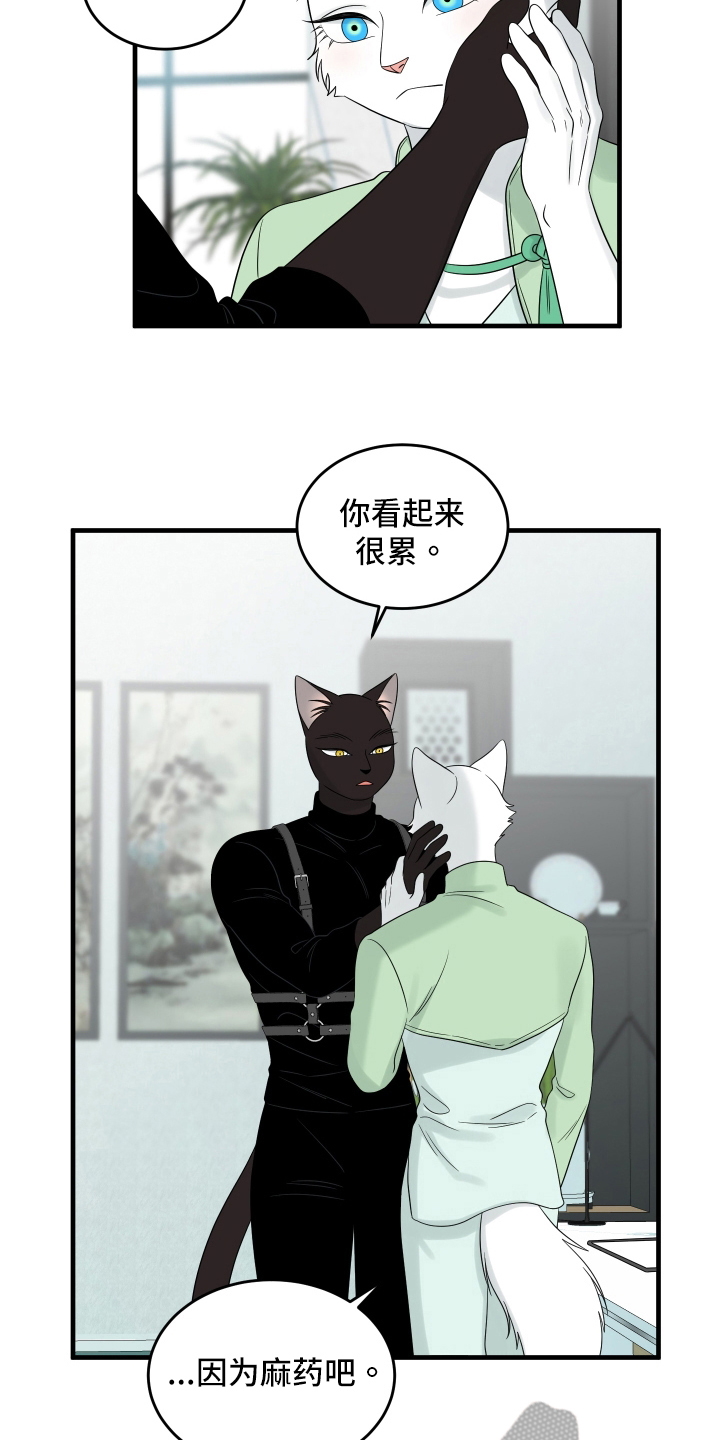 灵猫欧米伽免费阅读漫画,第107话1图