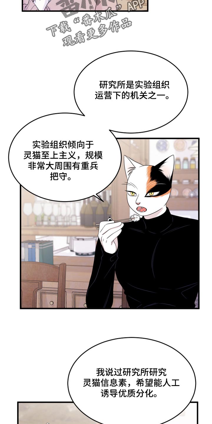 灵猫欧米伽漫画免费双男主漫画,第73话1图