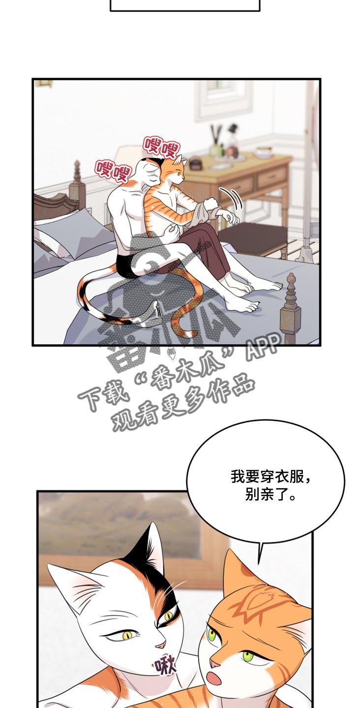 灵猫欧米伽漫画,第90话2图