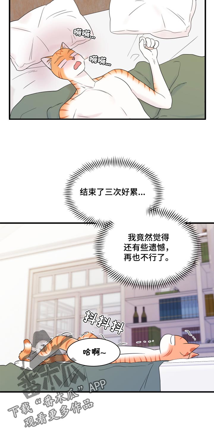 欧米伽兽漫画,第73话1图