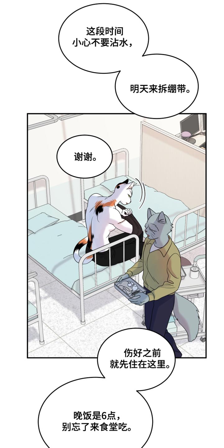 灵猫欧米伽是双男主吗漫画,第114话1图