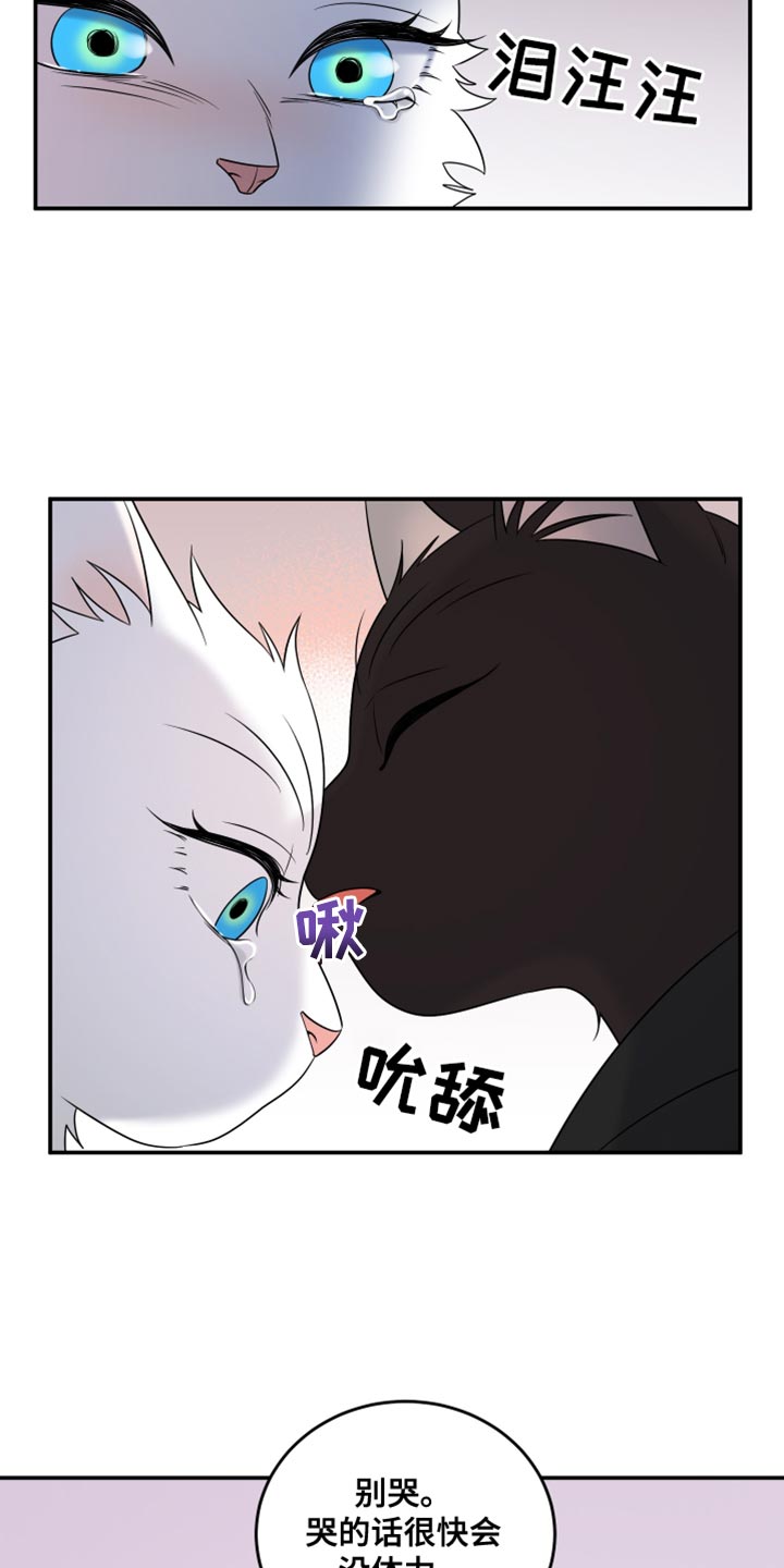 灵猫传攻略漫画,第137话2图