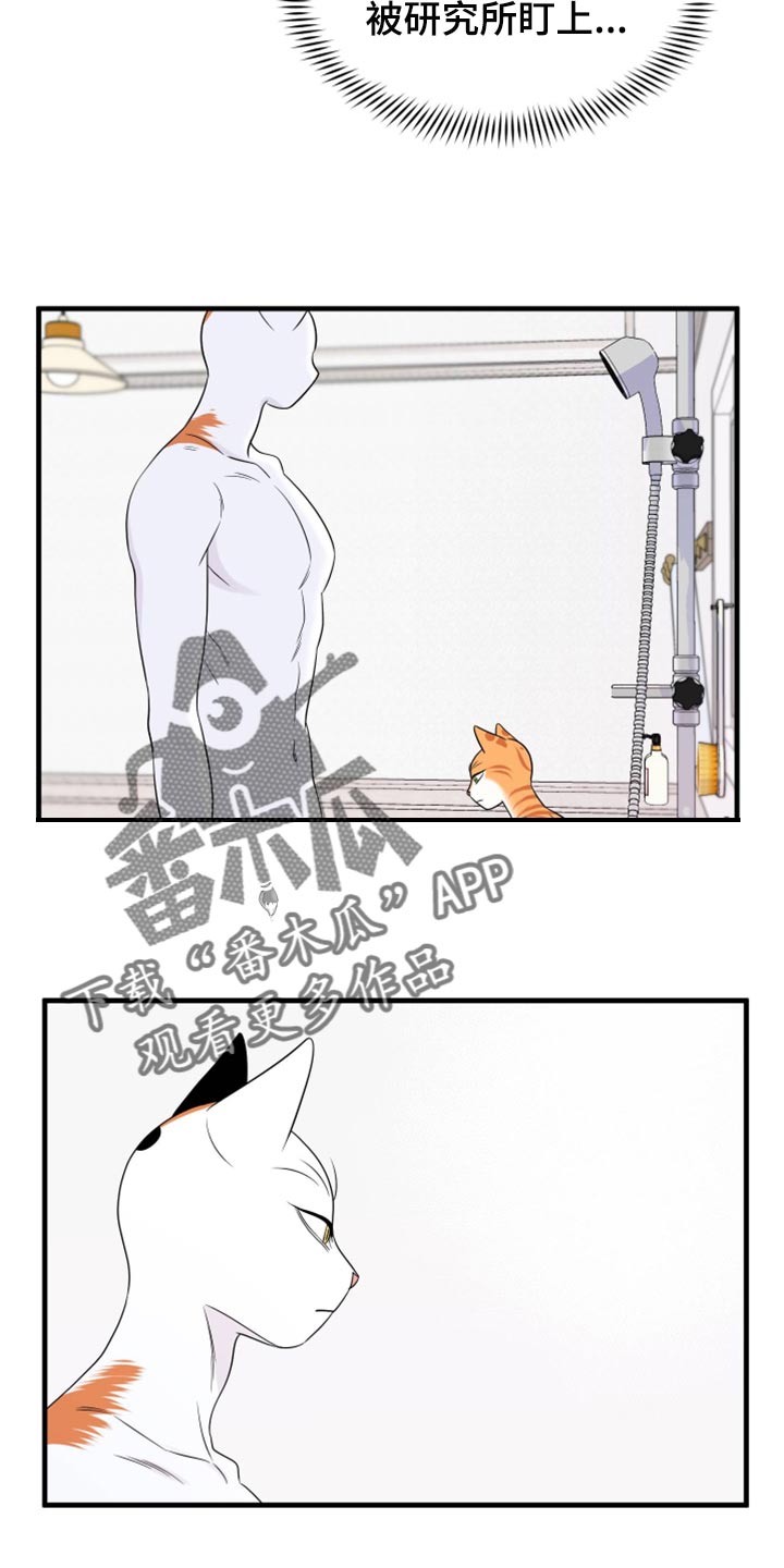 灵猫欧米伽双猫漫画,第71话1图