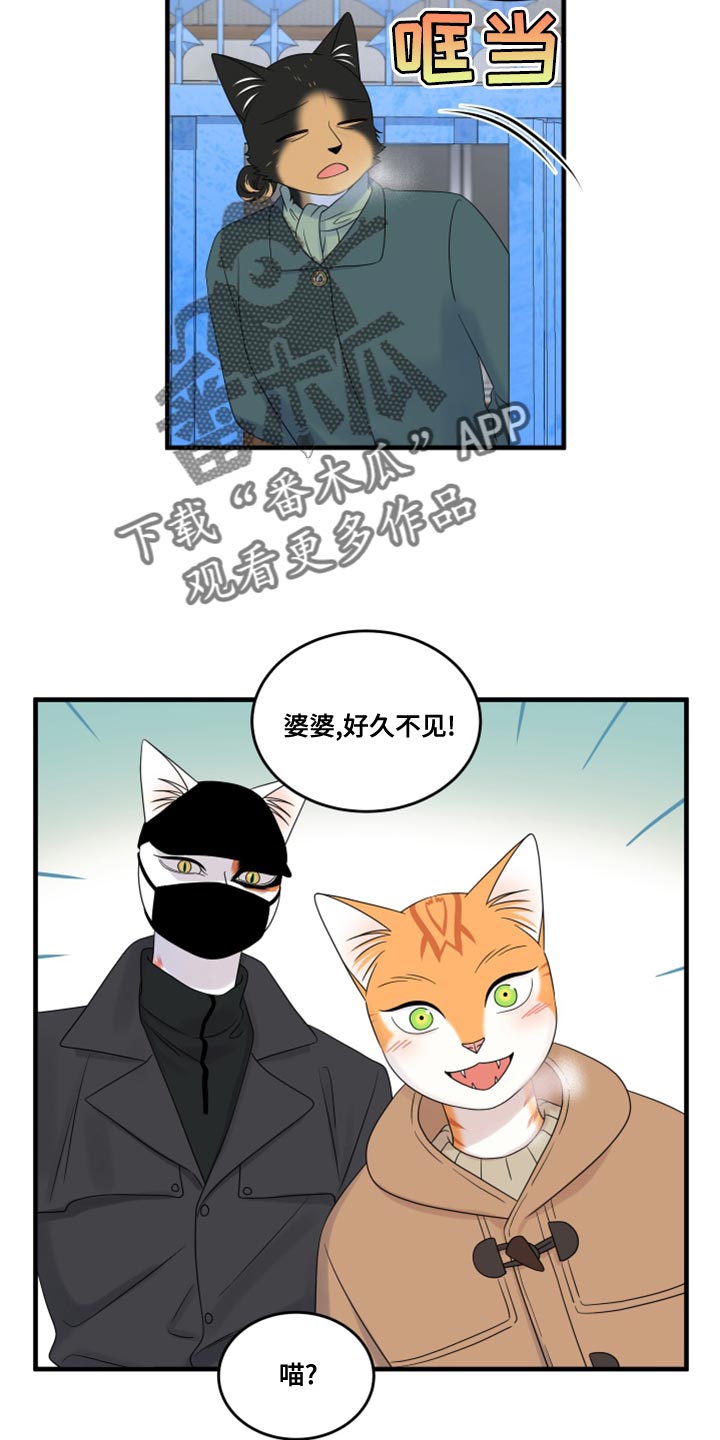 灵猫欧米伽是什么意思漫画,第101话1图