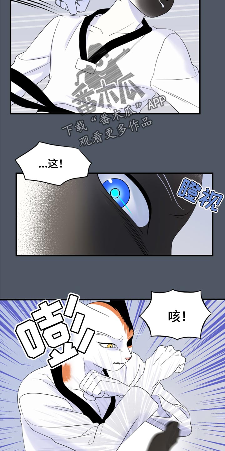 灵猫欧米伽2漫画,第76话2图