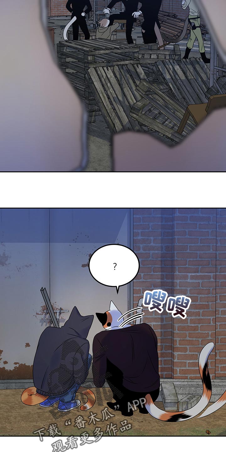 欧米伽兽漫画,第36话1图