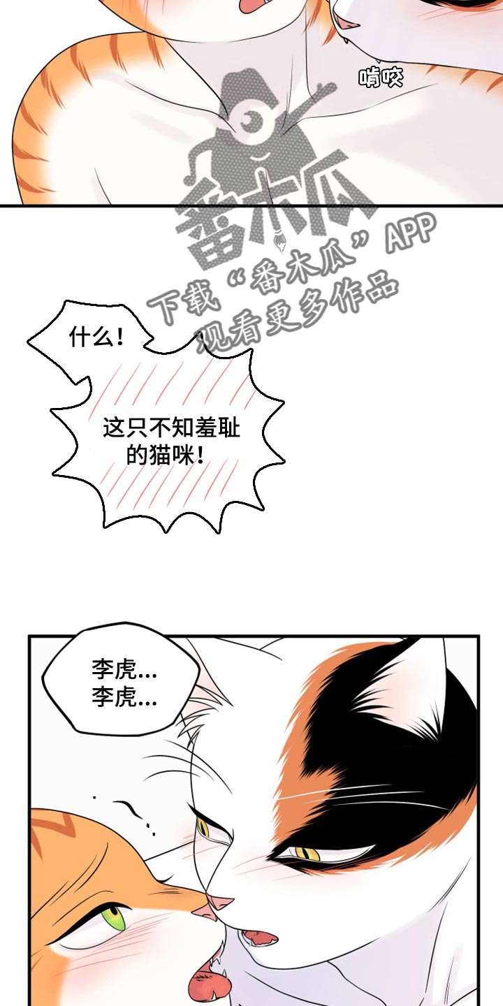 灵猫欧米伽合集漫画,第72话2图