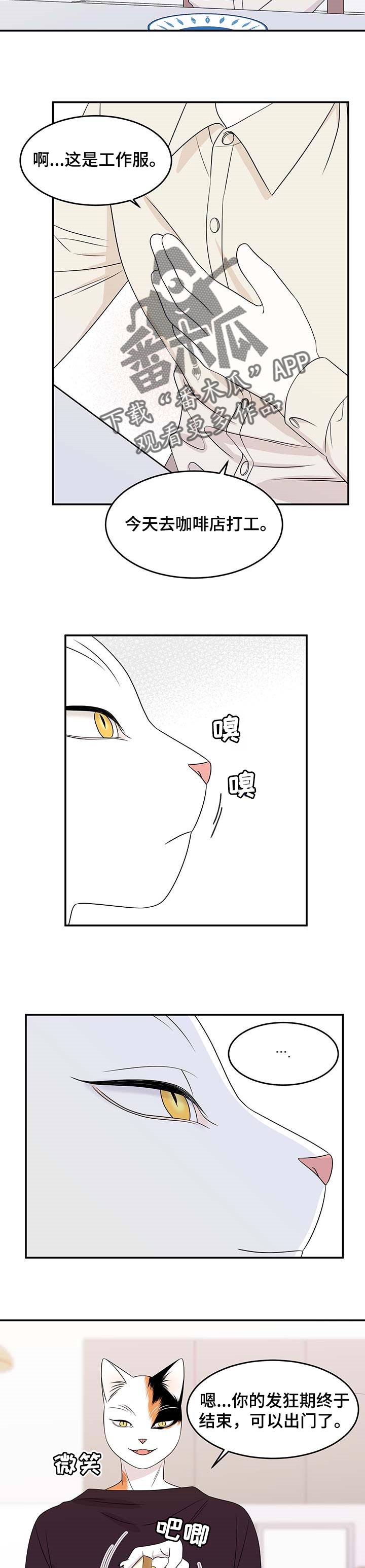 灵猫欧米伽完整版漫画,第21话1图