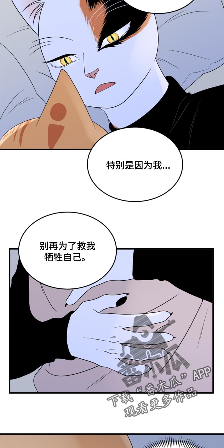 灵猫欧米伽什么时候更新第三季漫画,第75话2图