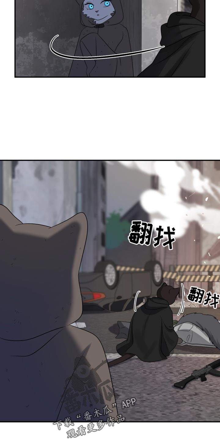 灵猫欧米伽免费版在哪里看漫画,第137话1图