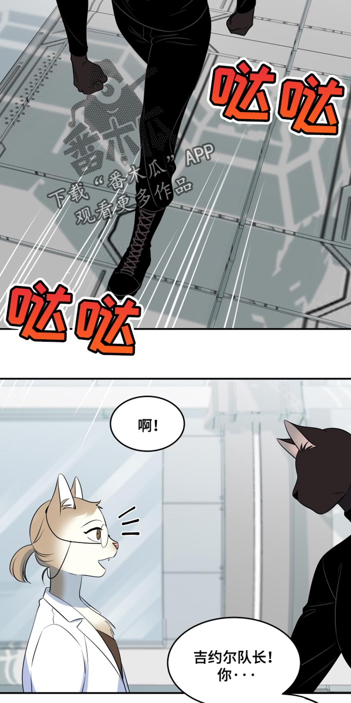 灵猫欧米伽漫画在线观看画涯漫画,第135话1图