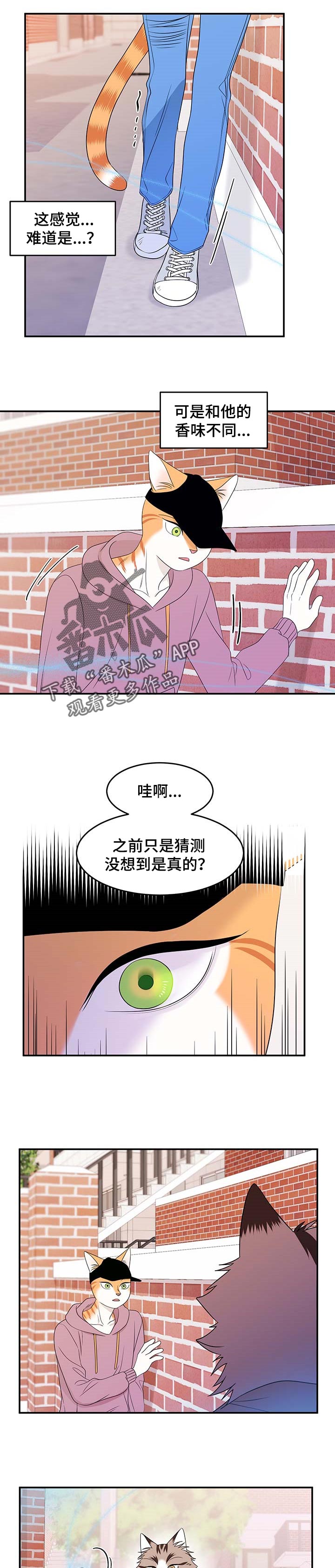 灵猫欧米伽第三季156章漫画,第27话2图