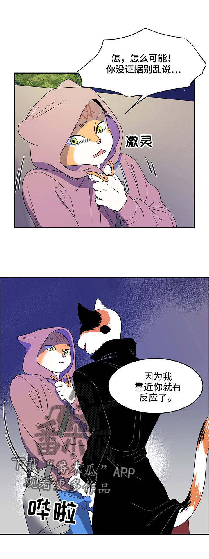 灵猫欧米伽完整版漫画,第2话1图