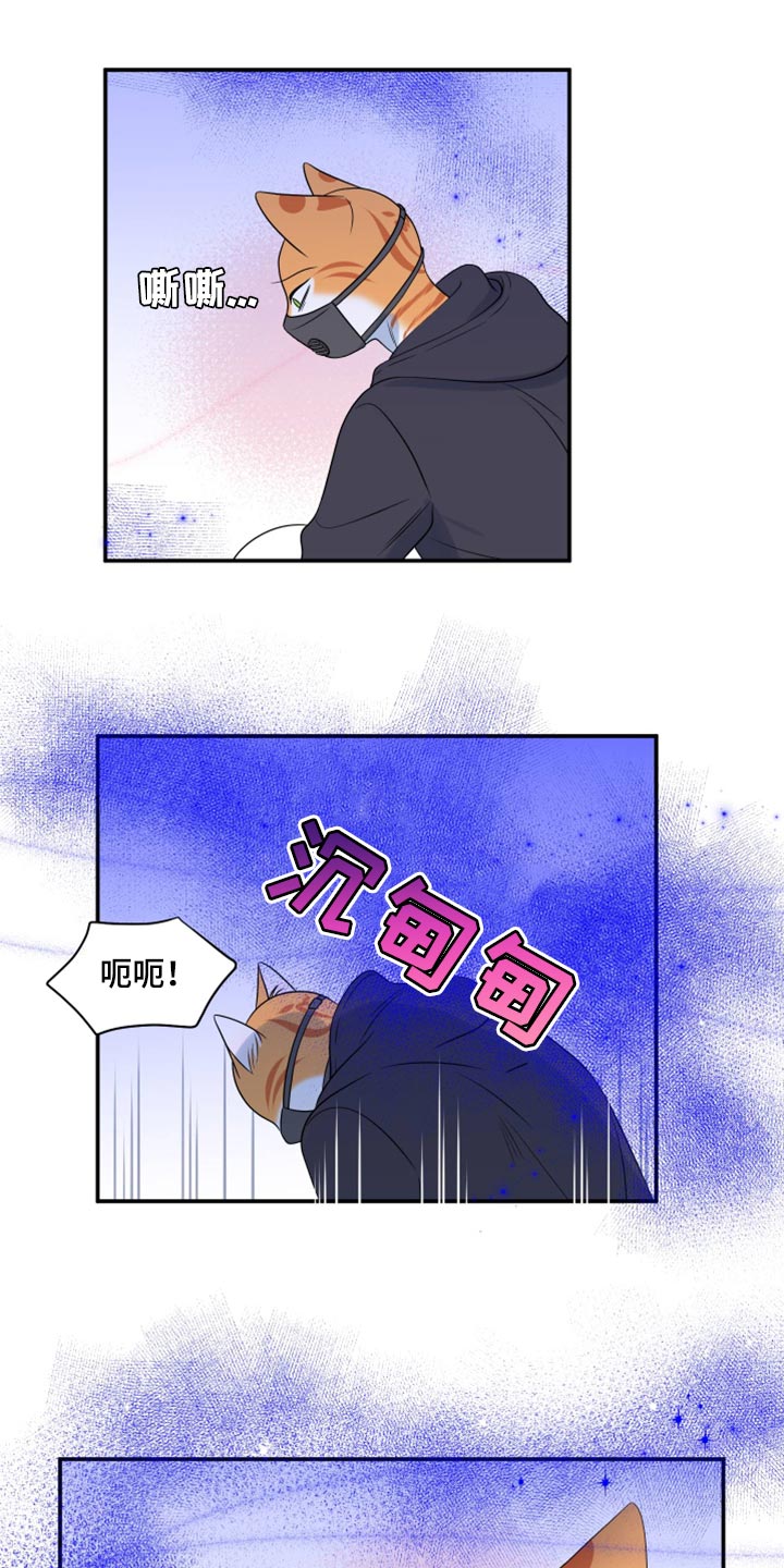 灵猫传汪苏泷漫画,第62话2图