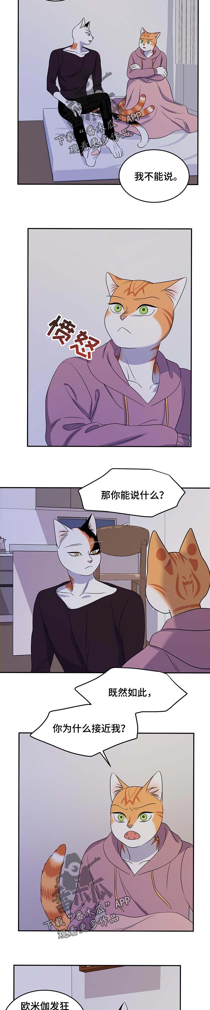 灵猫欧米伽是什么意思漫画,第32话1图