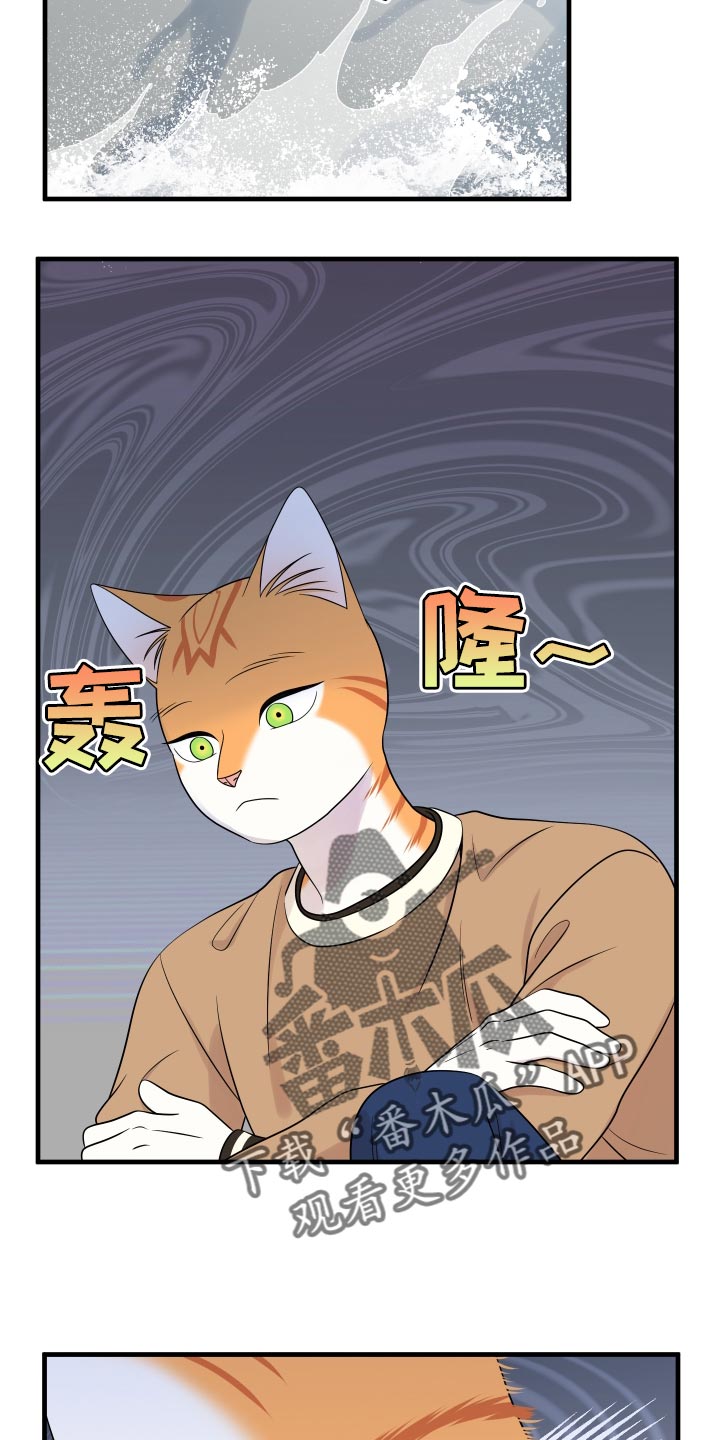 灵猫欧米伽漫画免费观看漫画,第96话2图