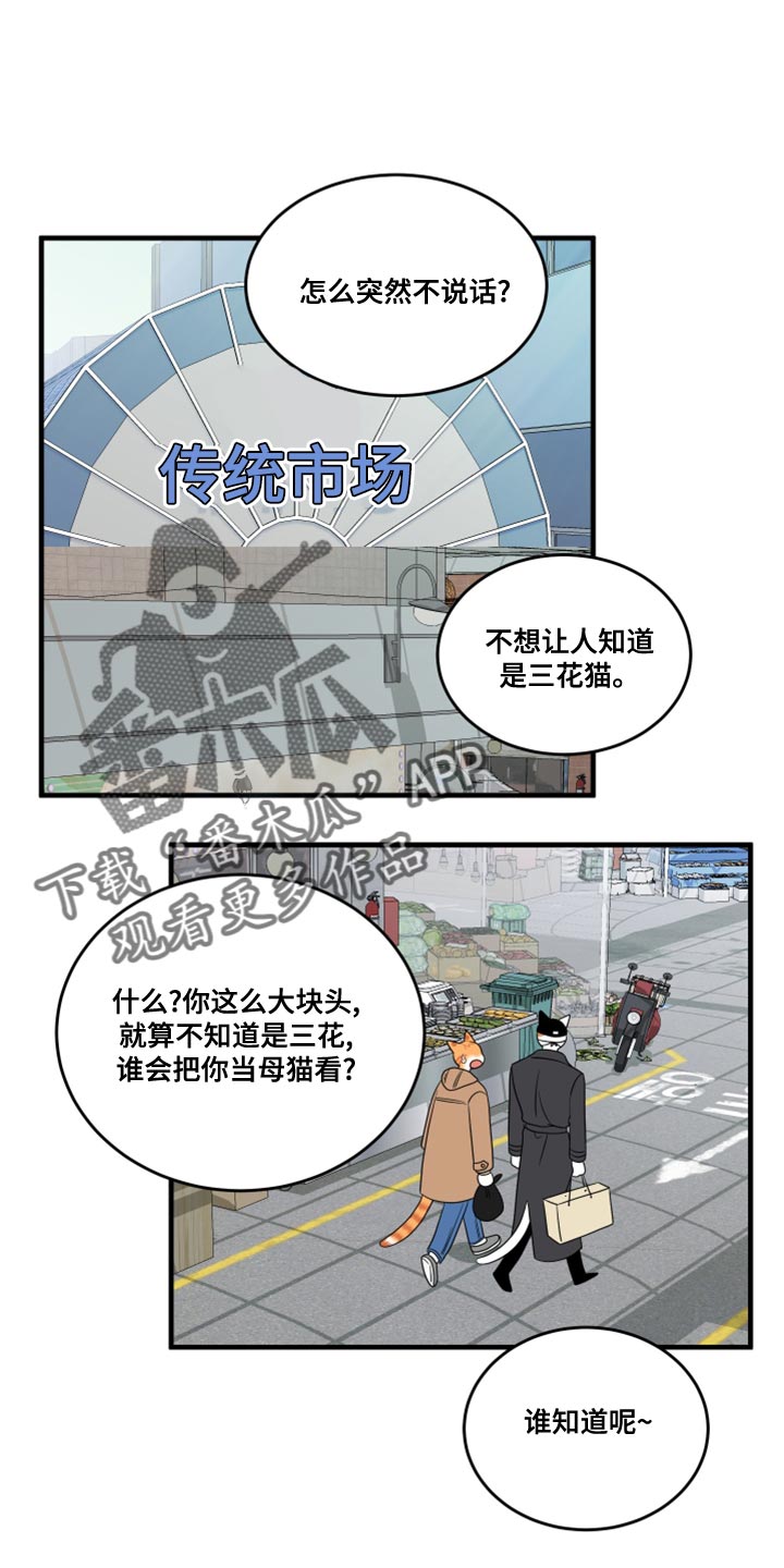 灵猫欧米伽完整版漫画,第101话2图