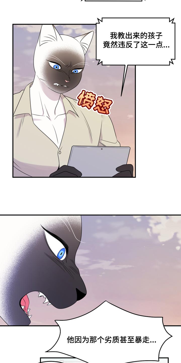灵猫欧米伽漫画,第57话1图