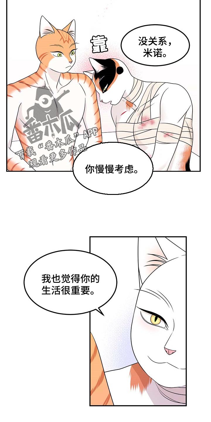 灵猫欧米伽免费阅读漫画,第48话1图